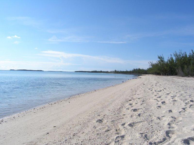 Caribbean Sandcastle Home James Cistern Екстериор снимка